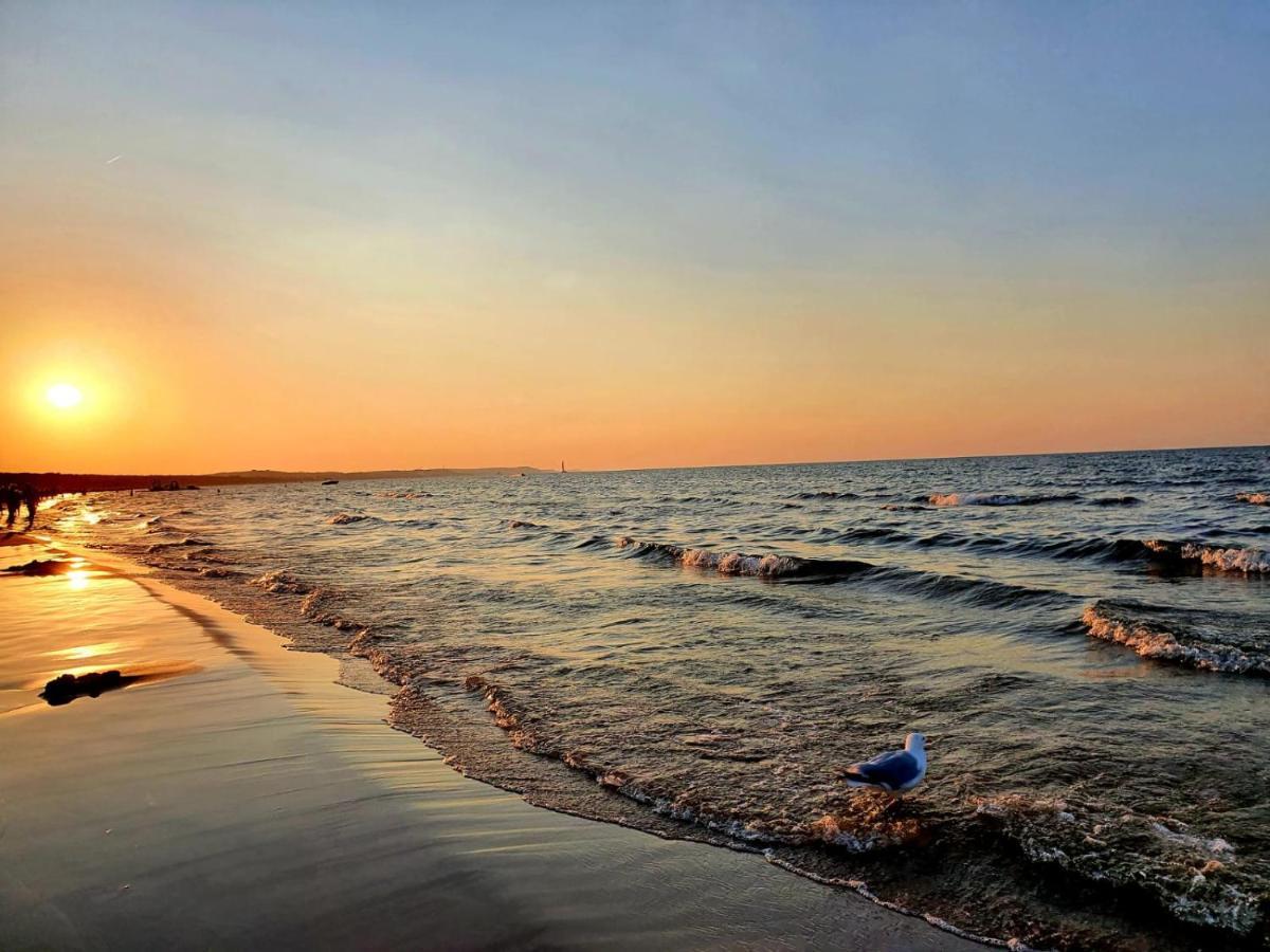 Baltic Dream